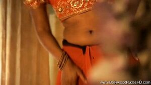 Erotic Positions From Bollywood